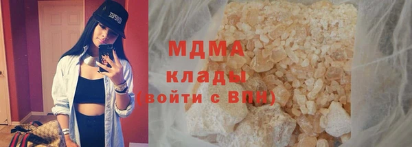 сатива Бородино