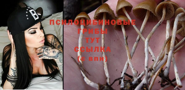 меф Бронницы