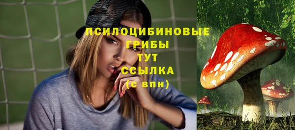 сатива Бородино