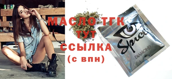 сатива Бородино