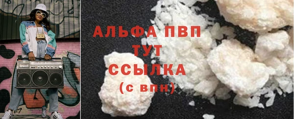 сатива Бородино