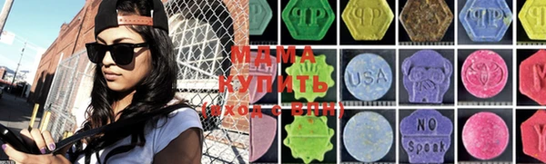 сатива Бородино